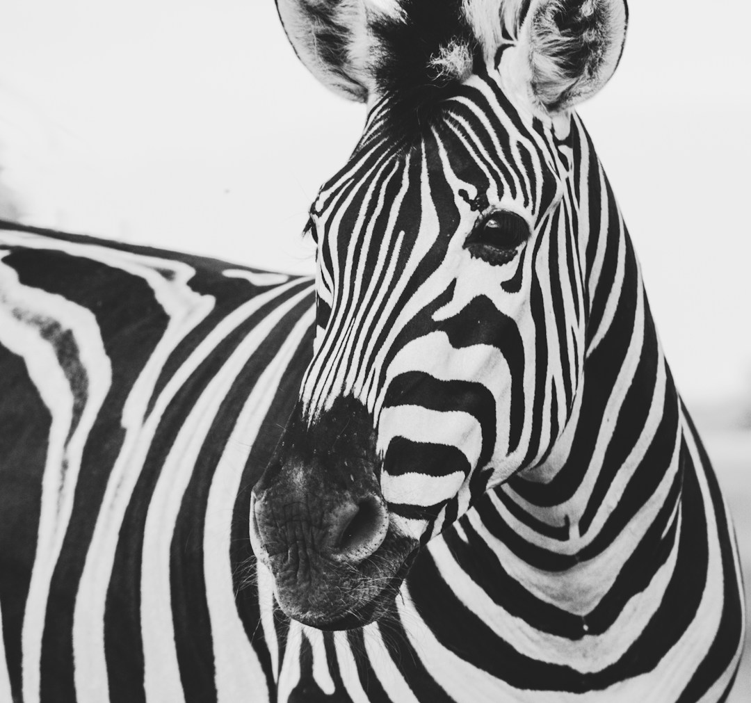 Biodiversidad