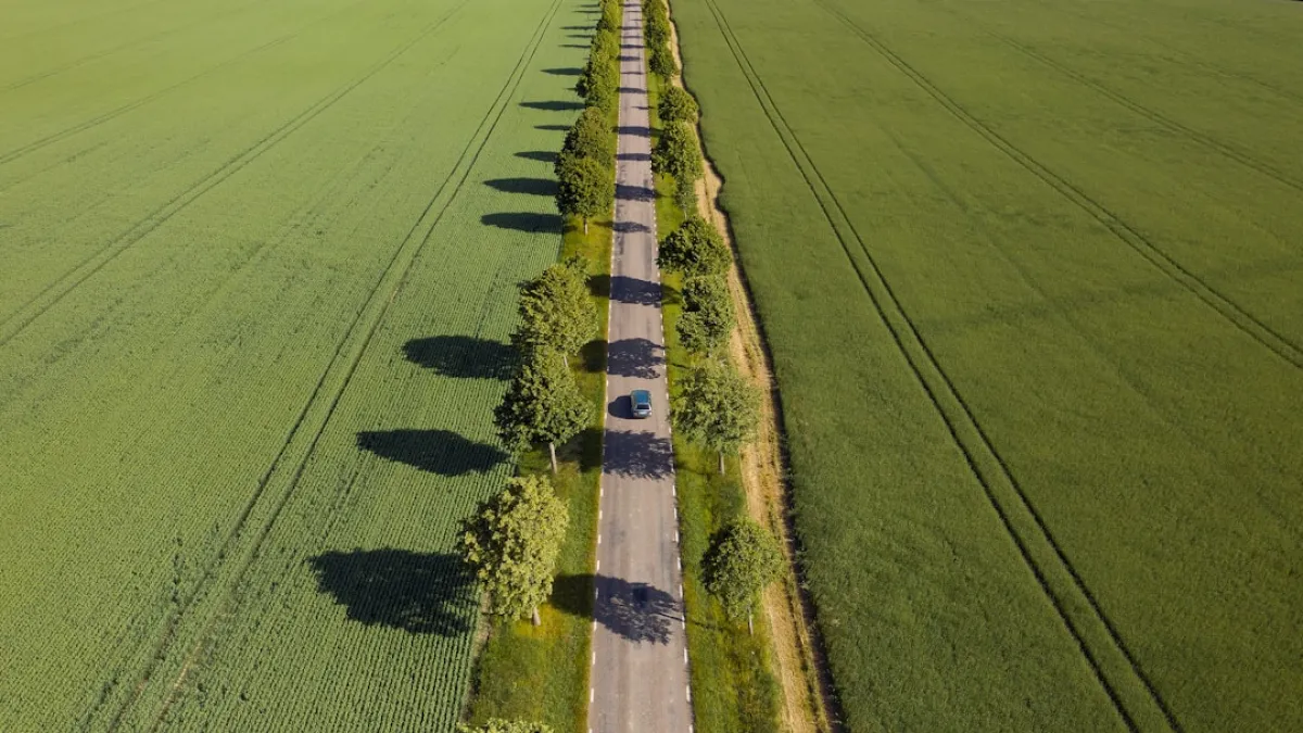 39_L9_C1_Compra pública verde