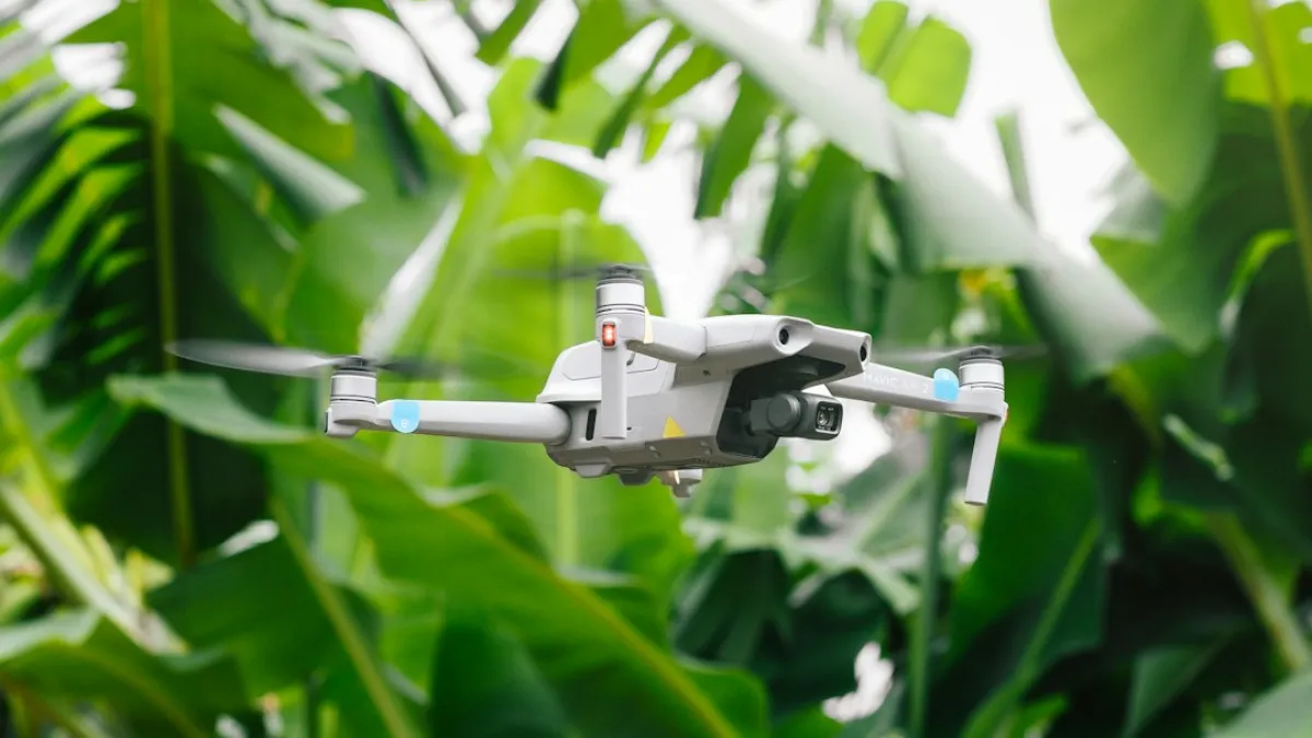 39_L9_C2_IA orientada a la sostenibilidad