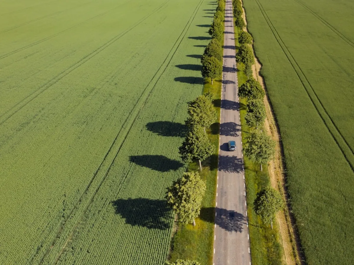 39_L9_C1_Compra pública verde