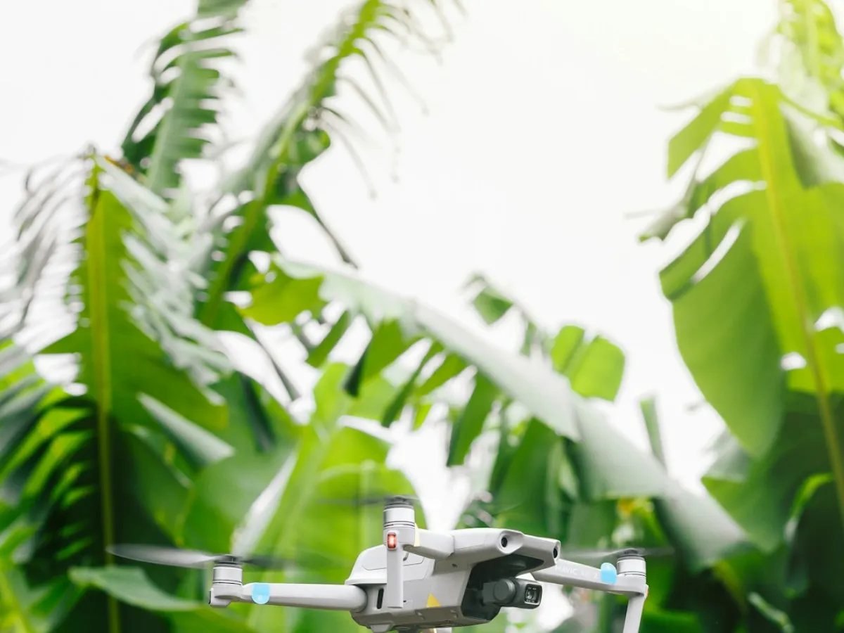 39_L9_C2_IA orientada a la sostenibilidad