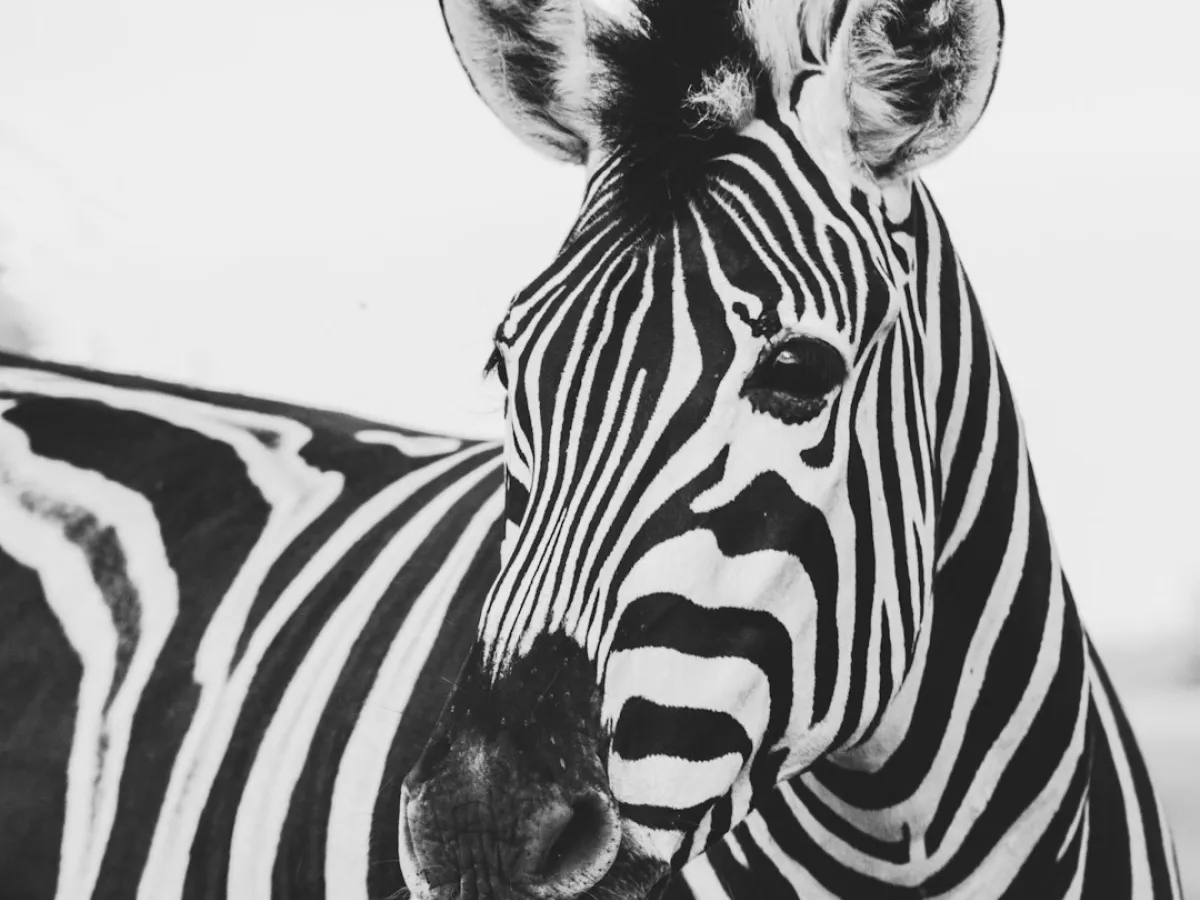 FUN38_C14_Biodiversidad