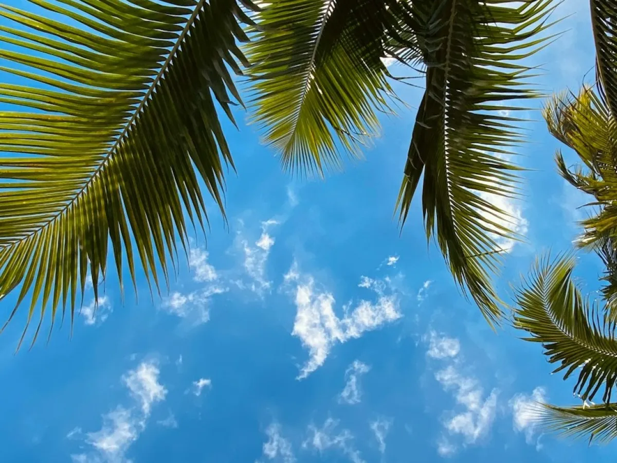 FUN38_C16_Huella Carbono A3