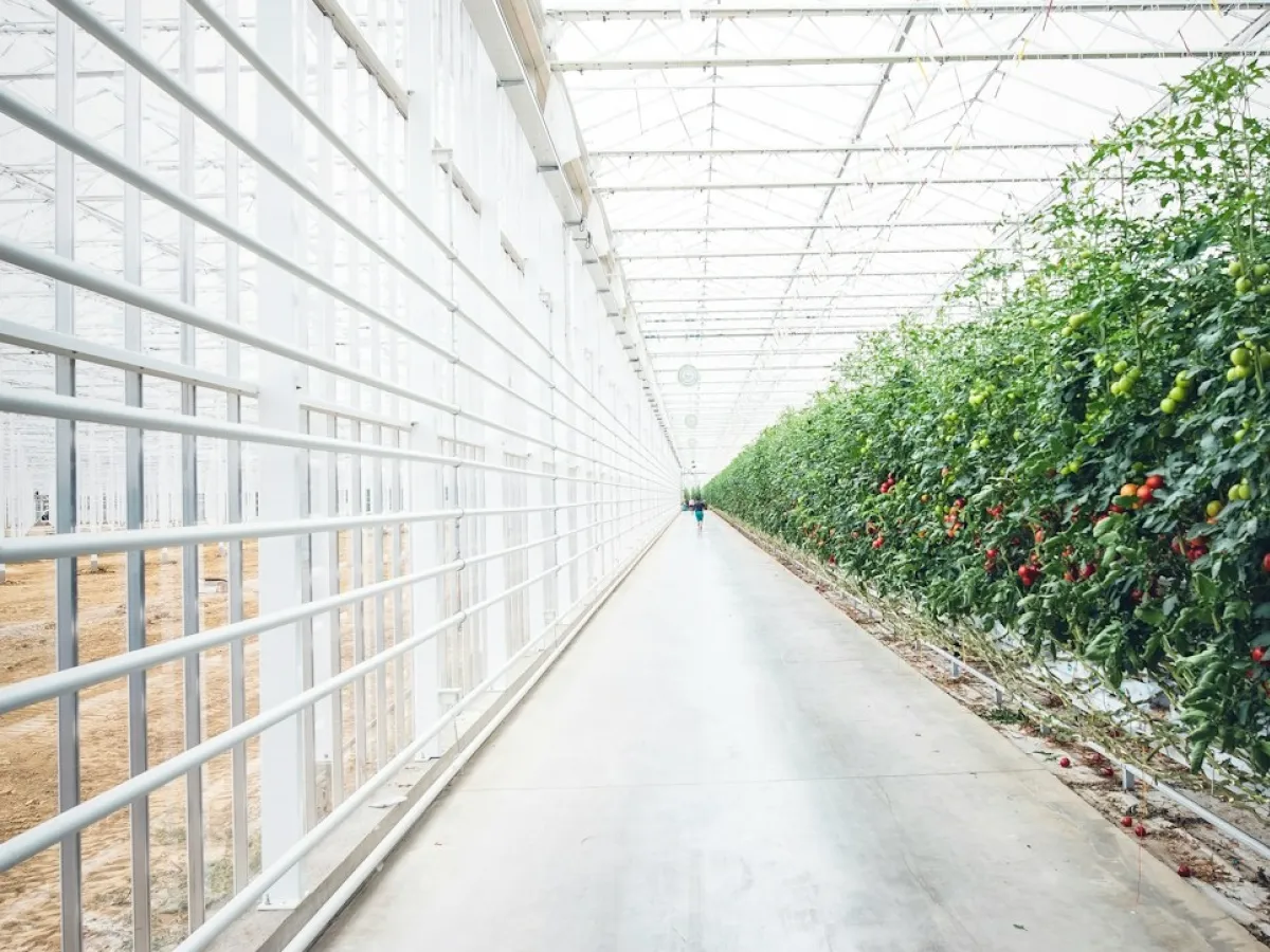 FUN38_C3_Taxonomia europea