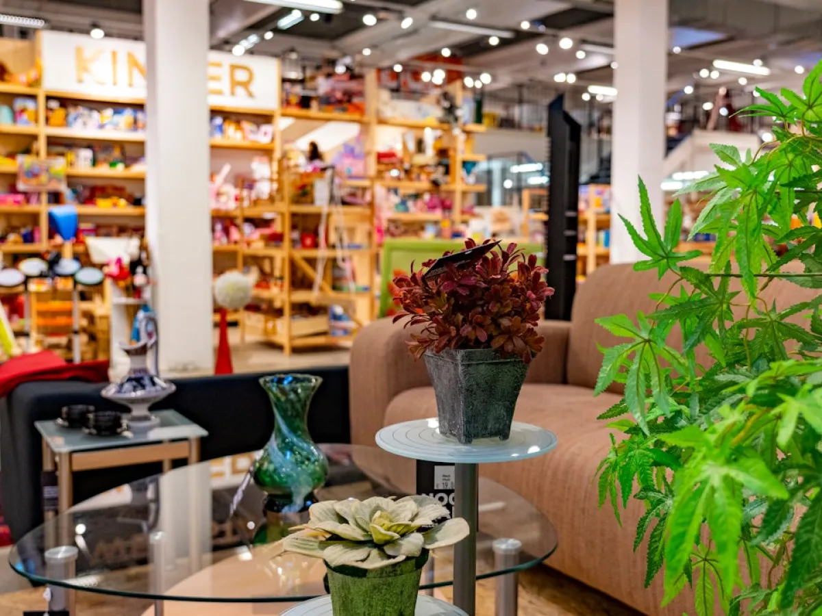 FUN38_C9_Proyectos sostenibles