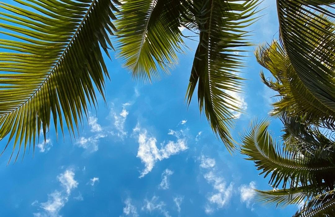 FUN38_C16_Huella Carbono A3