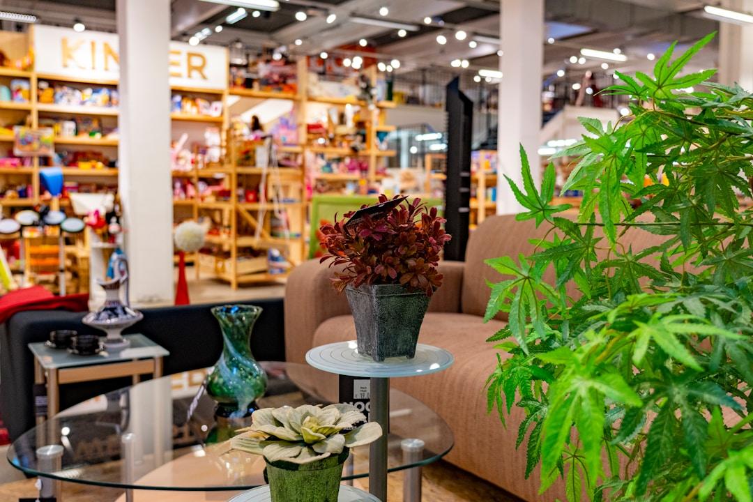 FUN38_C9_Proyectos sostenibles